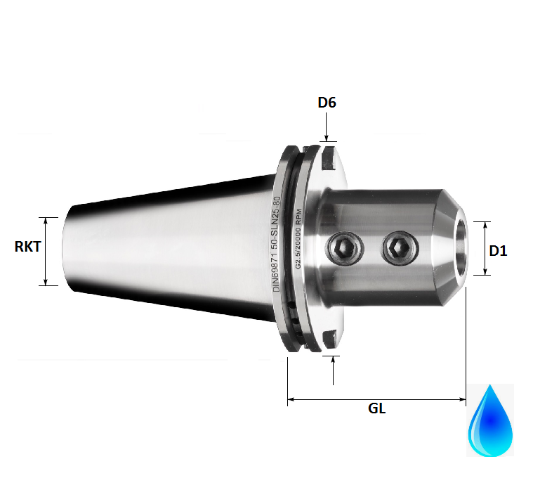 DV50 10.0mm End Mill/Weldon Holder, 100mm GL, Form AD/B (High Accuracy)